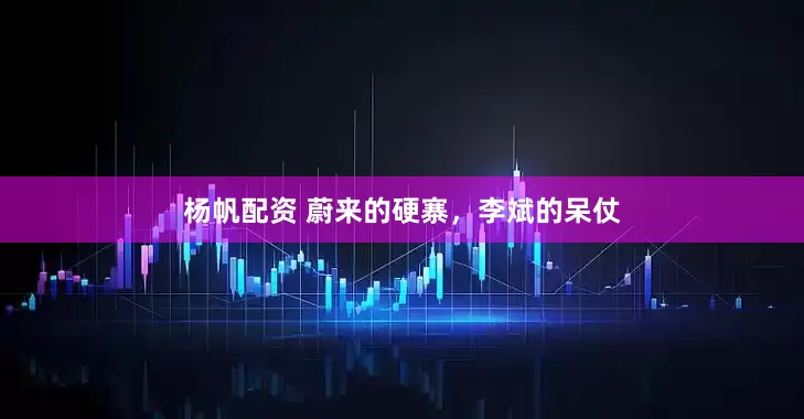 杨帆配资 蔚来的硬寨，李斌的呆仗