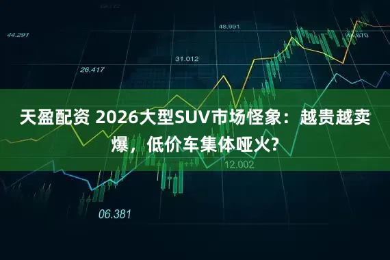 天盈配资 2026大型SUV市场怪象：越贵越卖爆，低价车集体哑火?