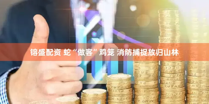 镕盛配资 蛇“做客”鸡笼 消防捕捉放归山林